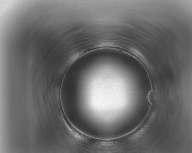 X0000062850849200601171509