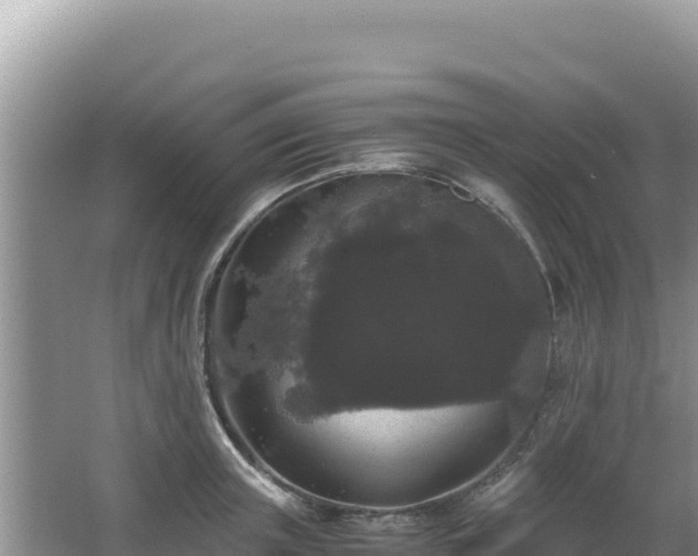 X0000062850851200601171509