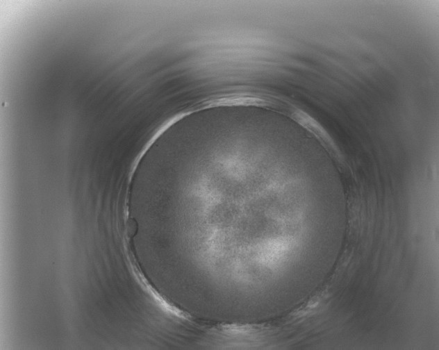 X0000062850852200601171509