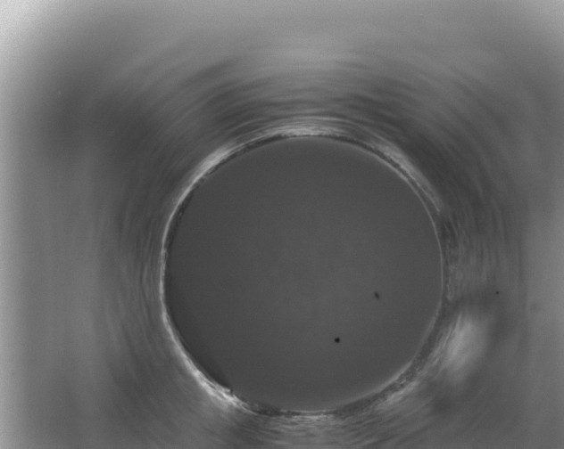 X0000062850853200601171509