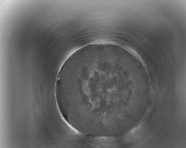 X0000062850855200601171509