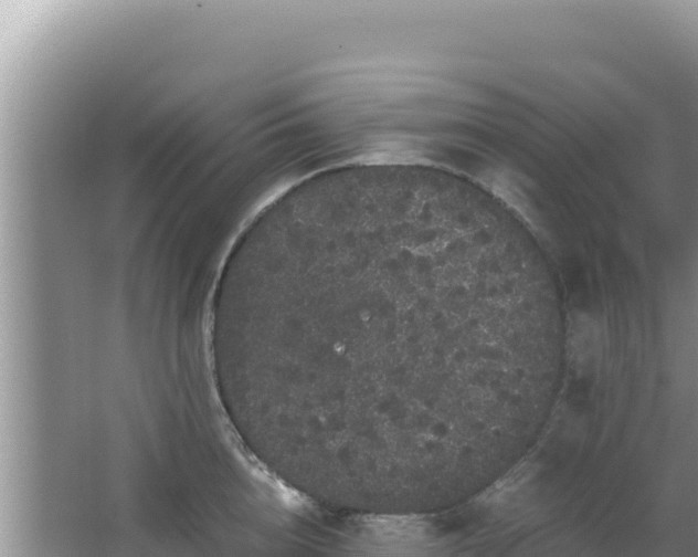 X0000062850856200601171509