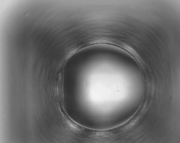 X0000062850857200601171509