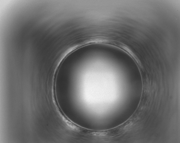 X0000062850861200601171509