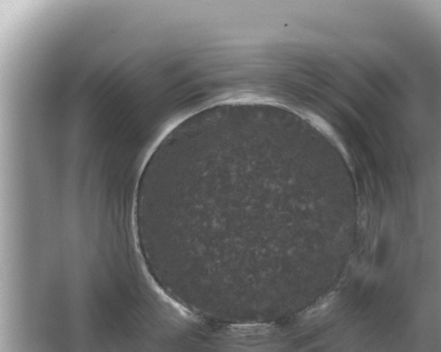 X0000062850863200601171509