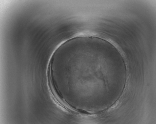 X0000062850864200601171509