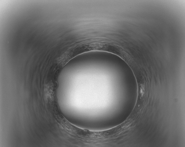 X0000062850867200601171508