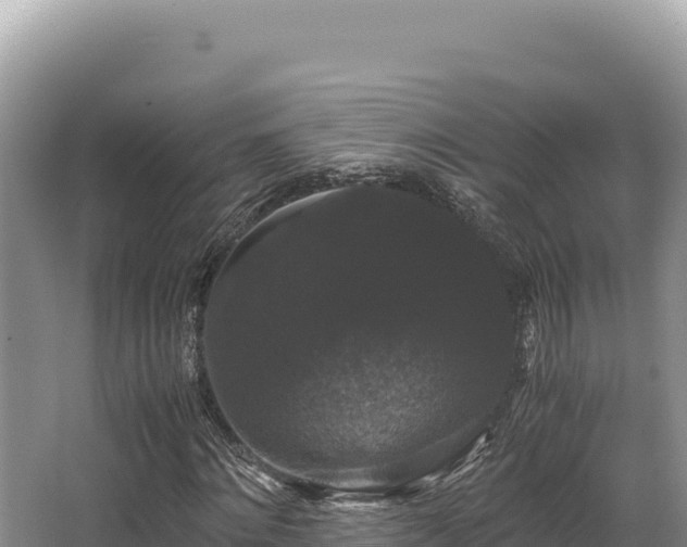 X0000062850868200601171508