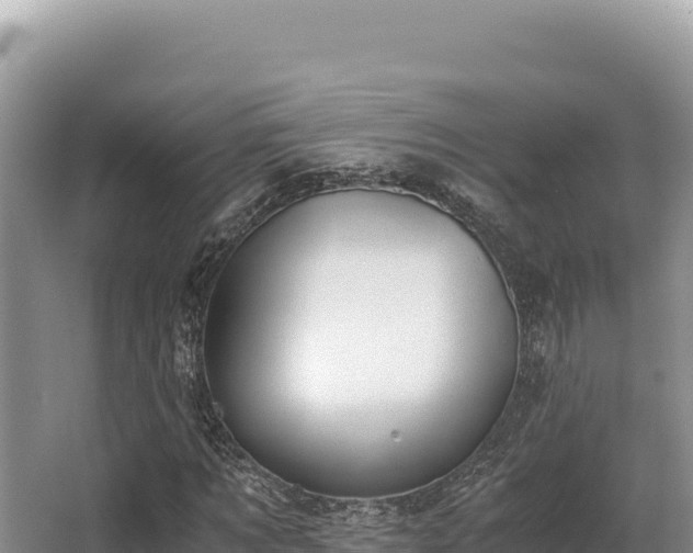 X0000062850869200601171508