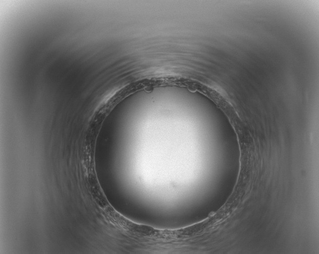 X0000062850871200601171508