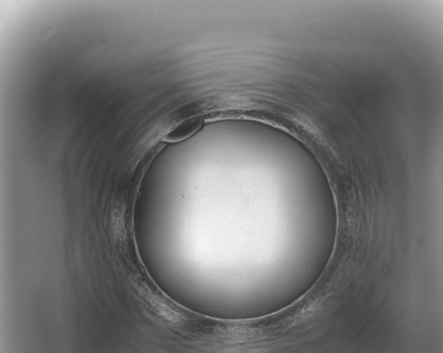 X0000062850873200601171508