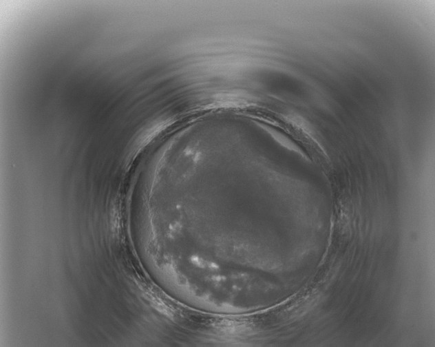 X0000062850874200601171508