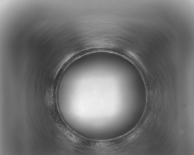 X0000062850875200601171508