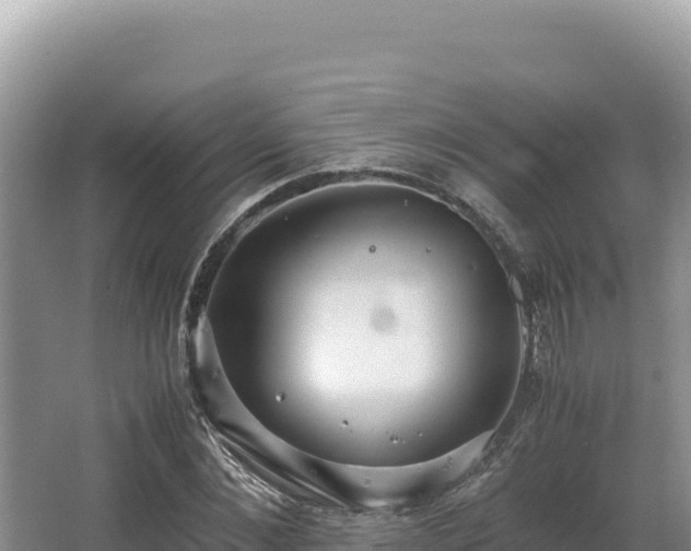 X0000062850876200601171508