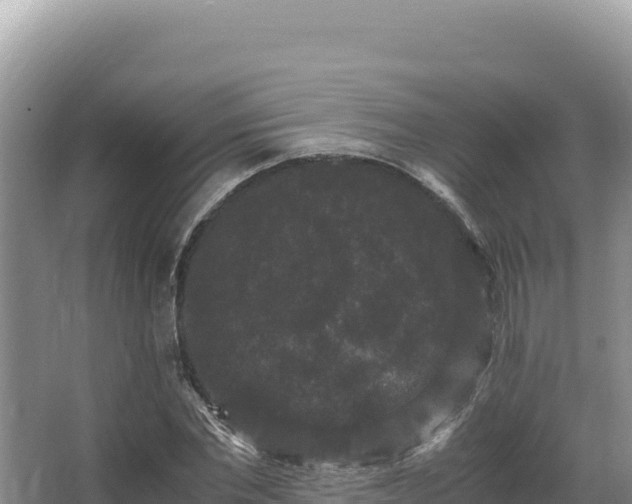 X0000062850877200601171508