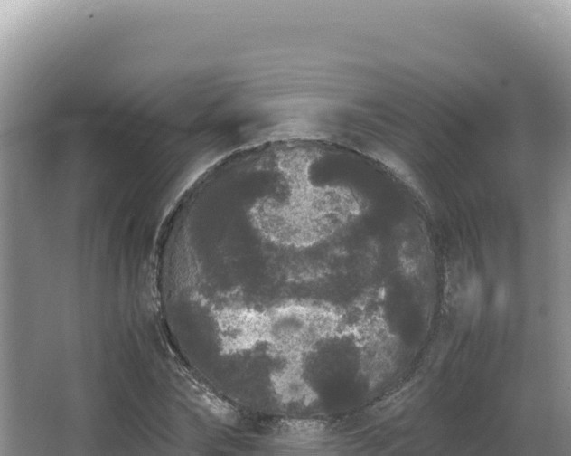 X0000062850878200601171508