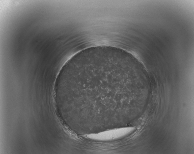 X0000062850879200601171508