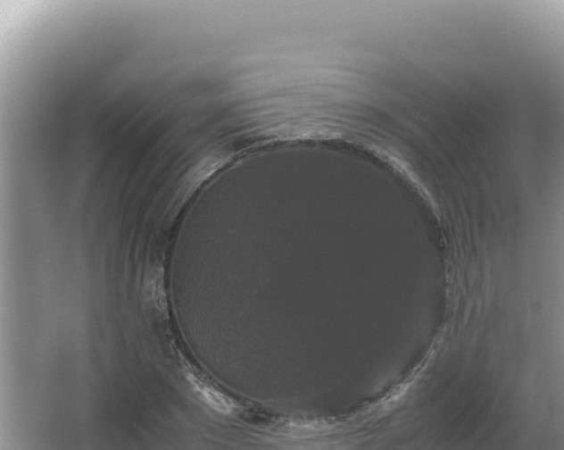 X0000062850881200601171508