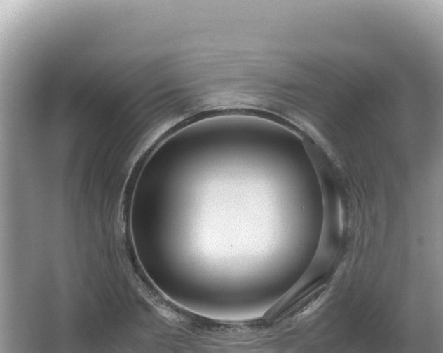 X0000062850885200601171508