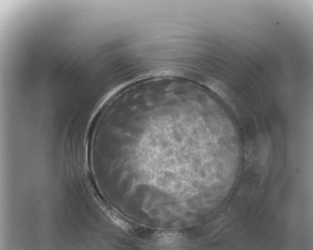 X0000062850886200601171508