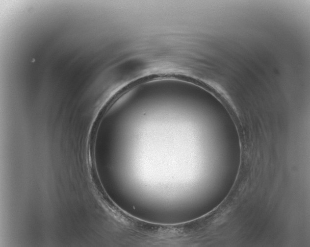 X0000062850887200601171508