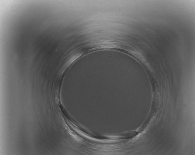 X0000062850889200601171508