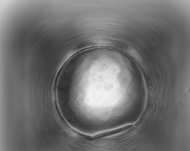 X0000062850891200601171508