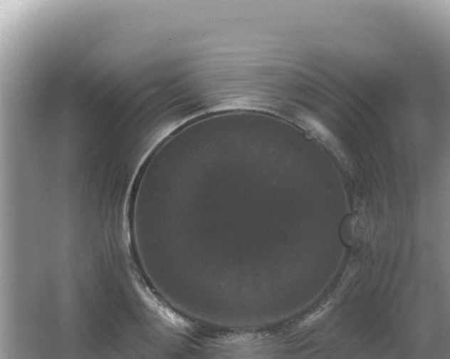 X0000062850892200601171508