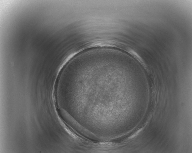 X0000062850893200601171508