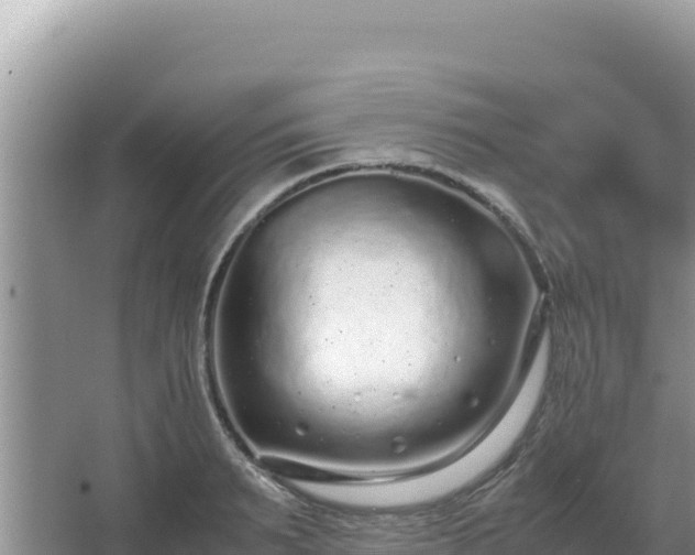 X0000062850895200601171508