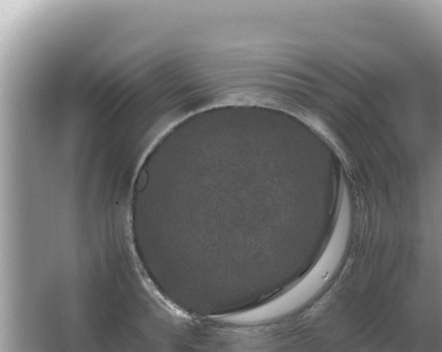 X0000062850896200601171508