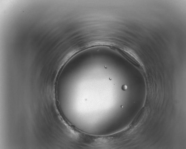 X0000062850898200601171508