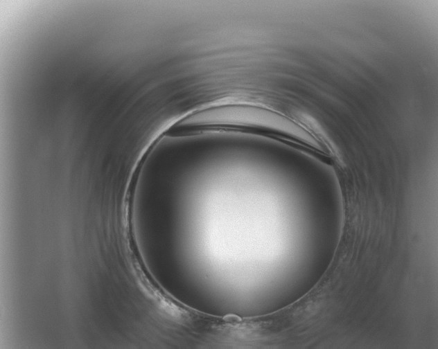 X0000062850900200601171508