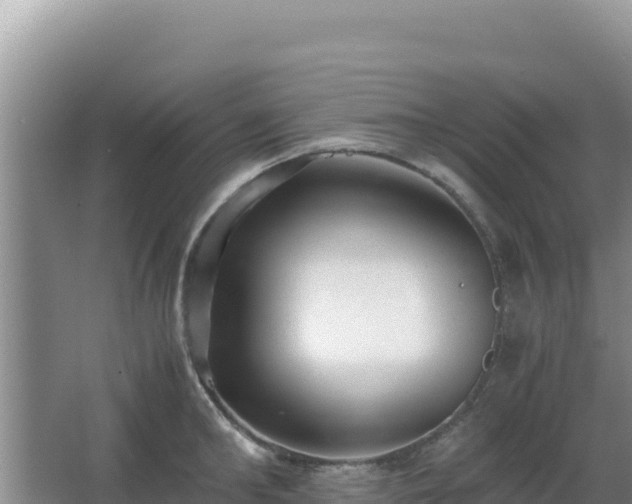 X0000062850902200601171508