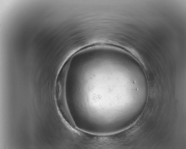 X0000062850903200601171508