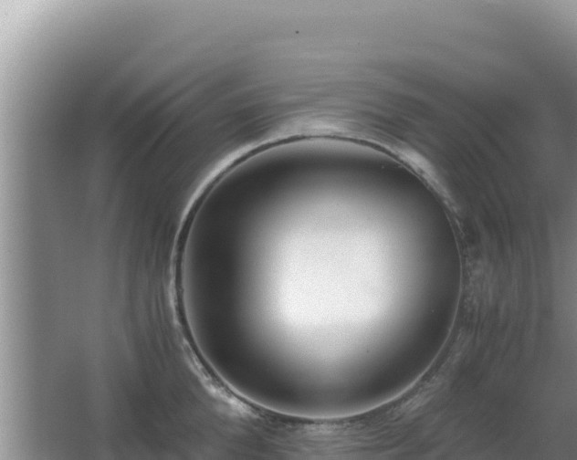 X0000062850904200601171508