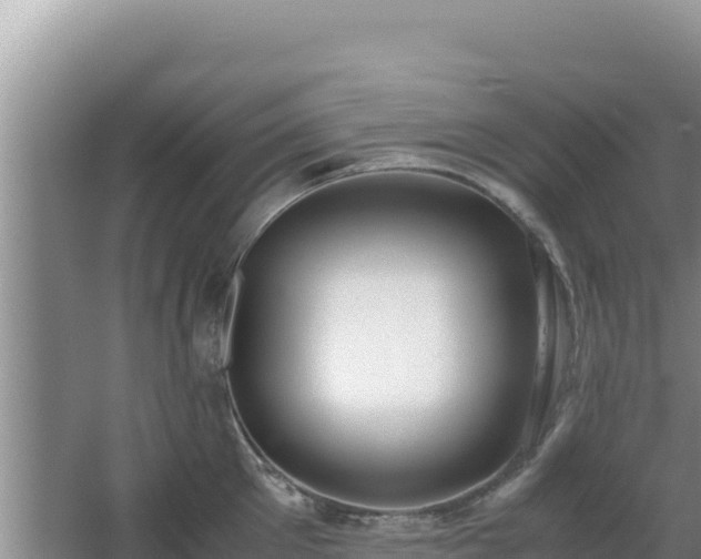 X0000062850905200601171508