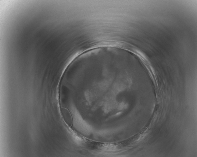 X0000062850907200601171508