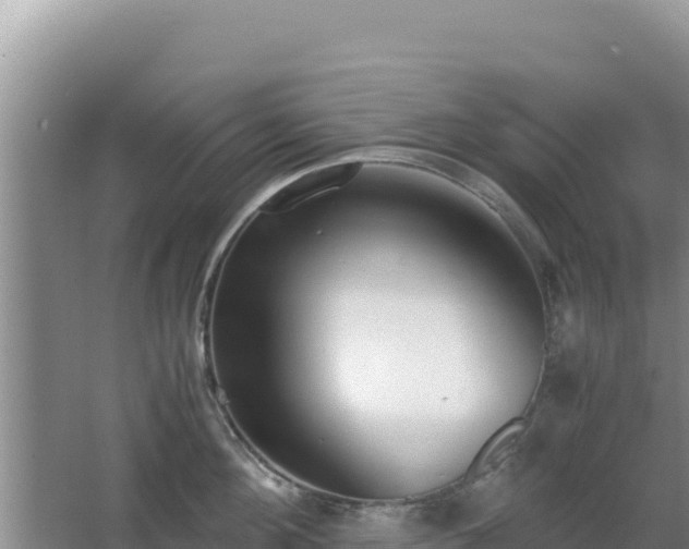 X0000062850908200601171508