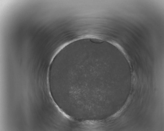 X0000062850910200601171508