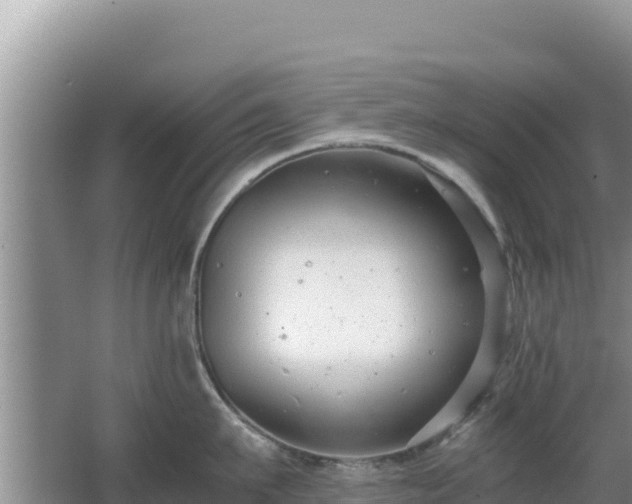 X0000062850911200601171508