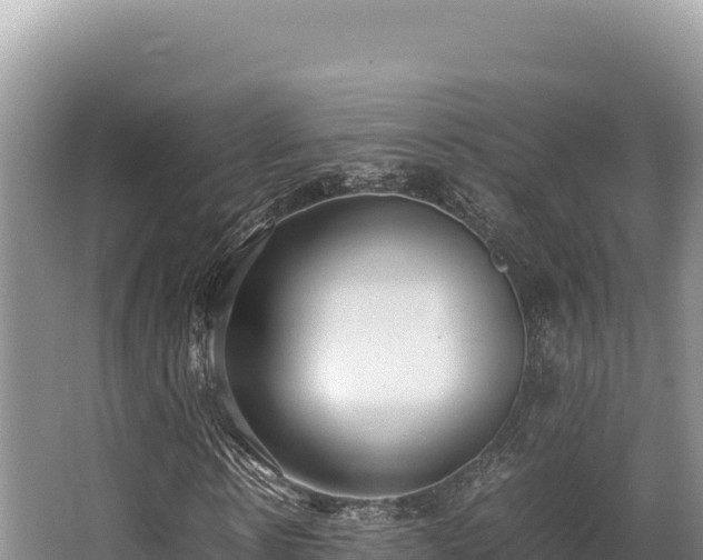 X0000062850914200601171507