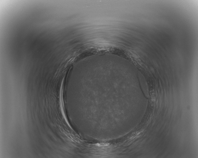 X0000062850916200601171507