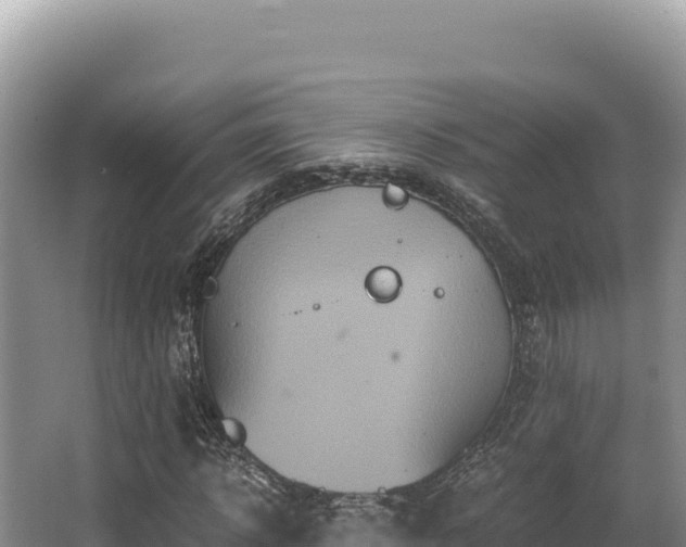 X0000062850918200601171507