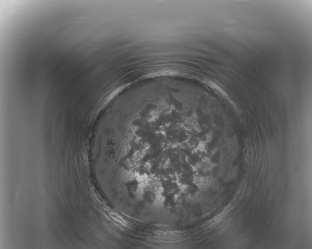 X0000062850921200601171507