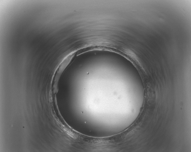 X0000062850924200601171507