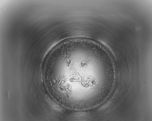 X0000062850925200601171507