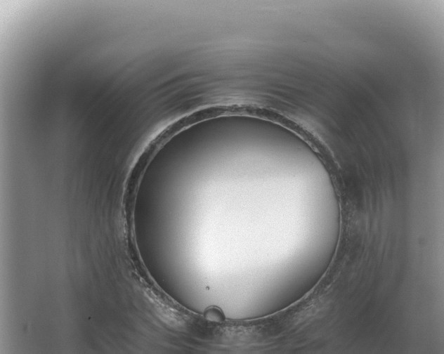 X0000062850927200601171507