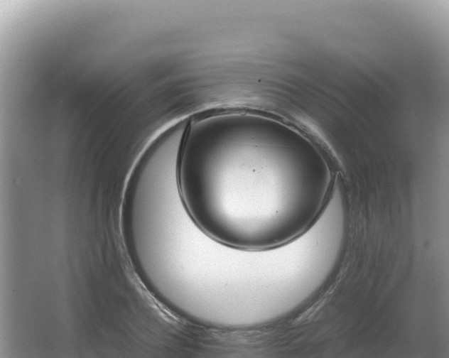 X0000062850932200601171507