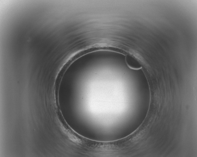 X0000062850934200601171507